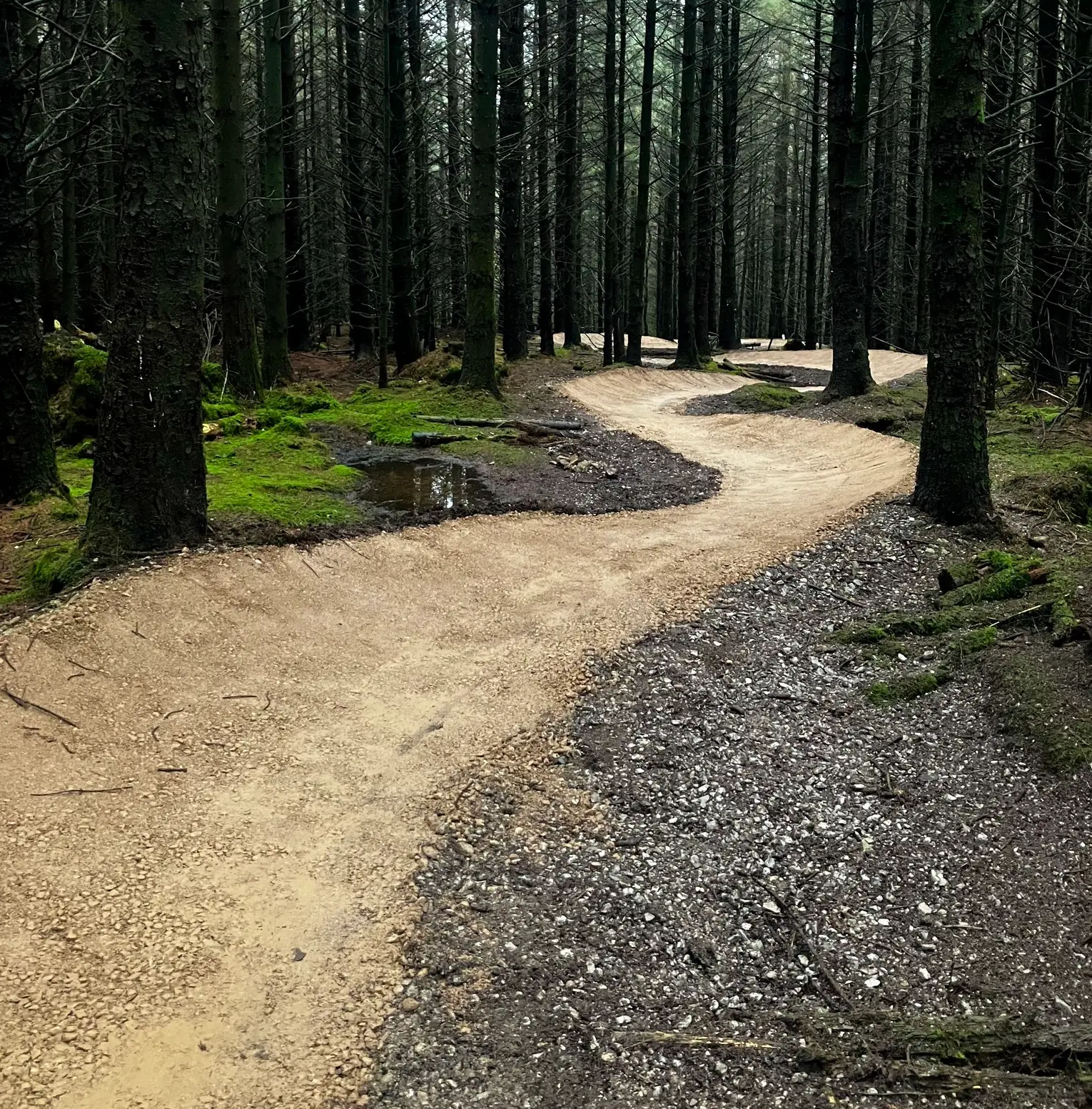 Park Wood & Cocklet Hill sections at Gisburn Forest to reopen in the coming weeks