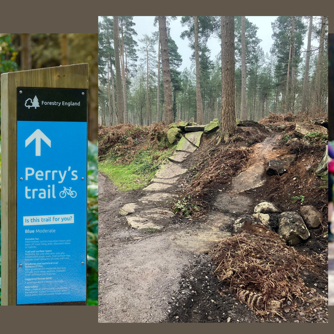 Perry’s Trail upgrades complete as Follow the Dog underway at Cannock Chase