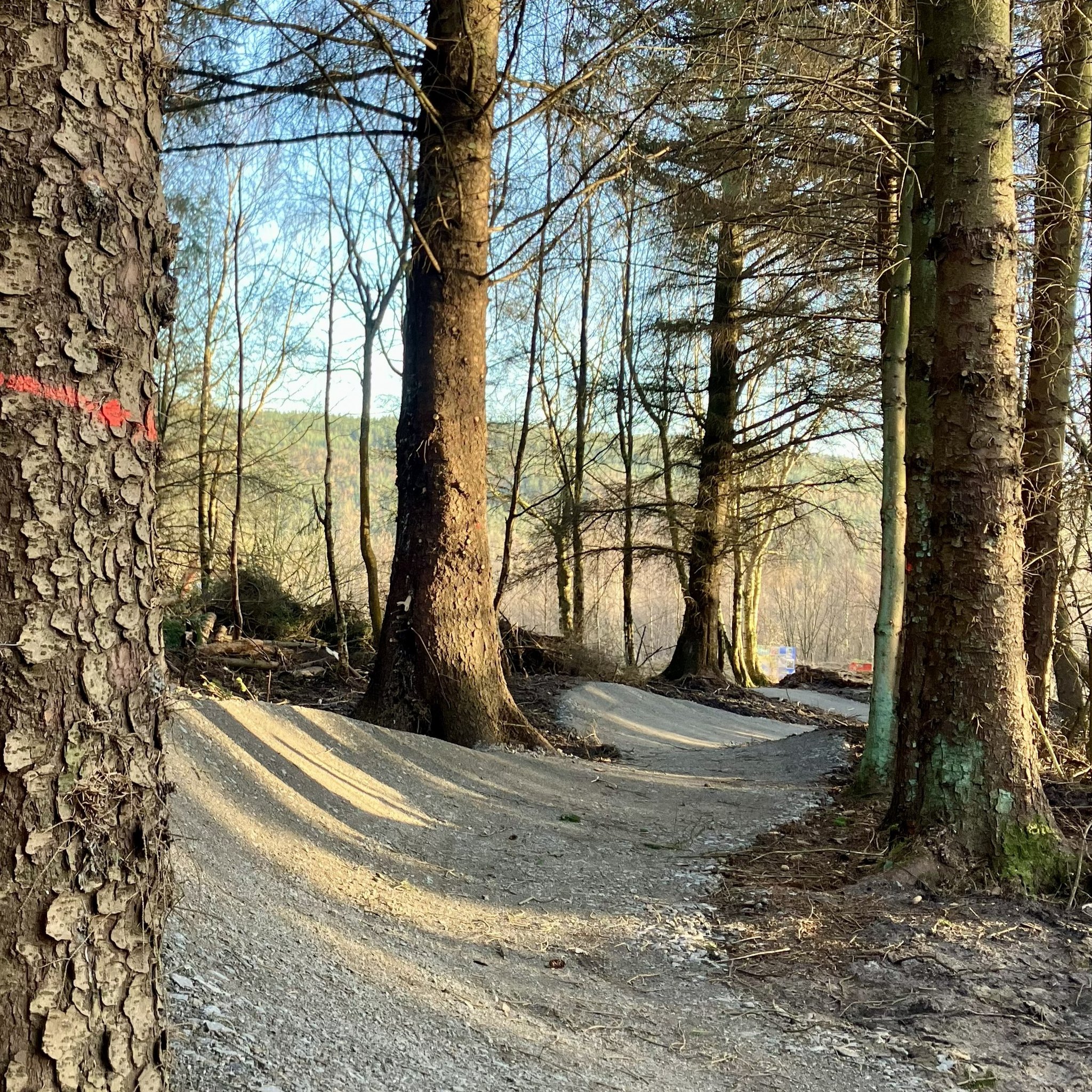 Potato Hill opens as mid-trail update to Squirrel Chaser at Hamsterley Forest
