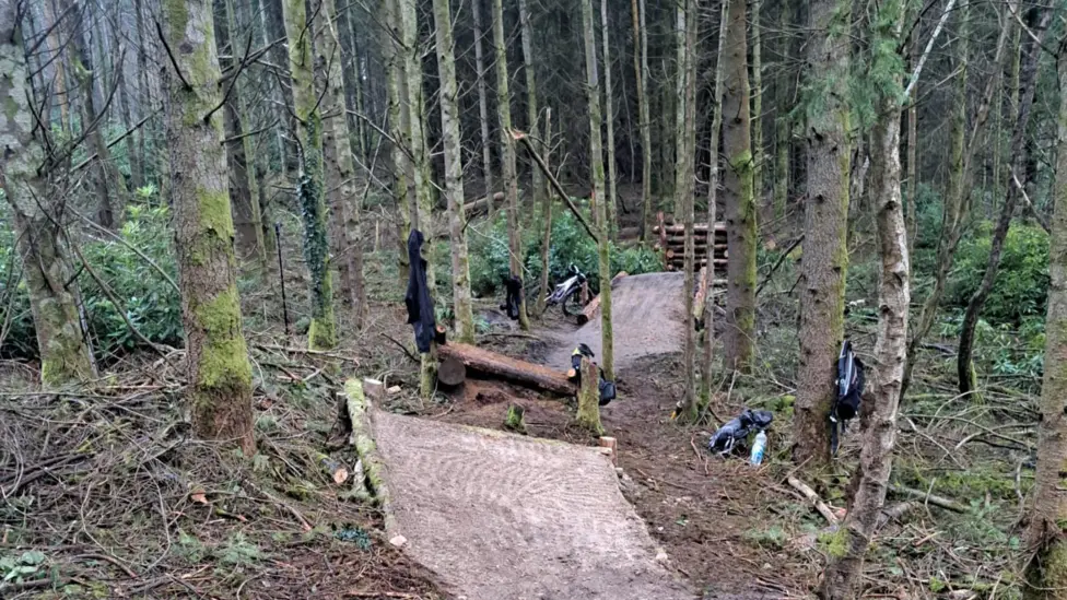 Puddletown Forest MTB Trails Dismantled