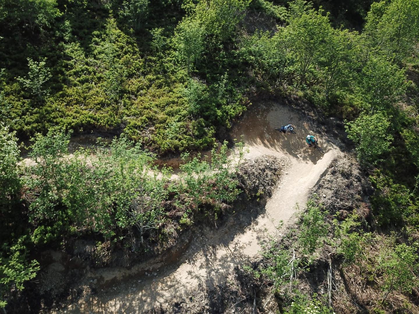 Cwmcarn has a new blue trail