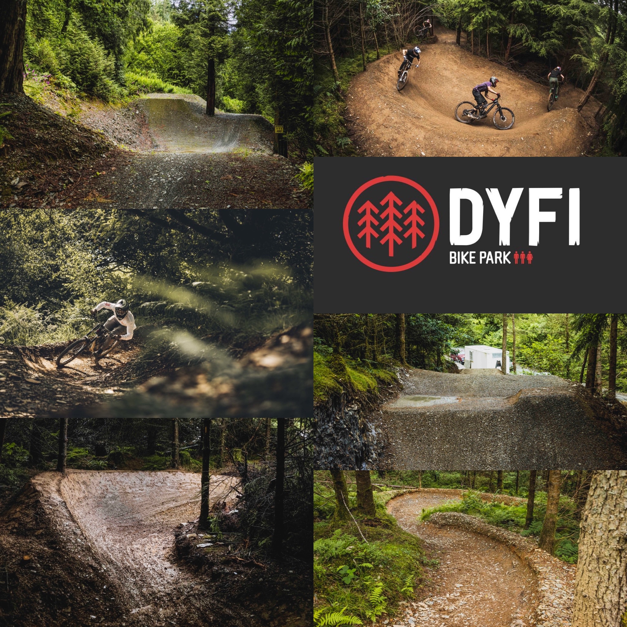 Red Revolution at Dyfi Bike Park: How Six Trails are Transforming the Riding Experience