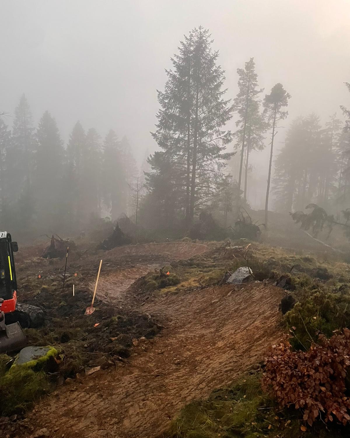 Something cooking at Grizedale Forest