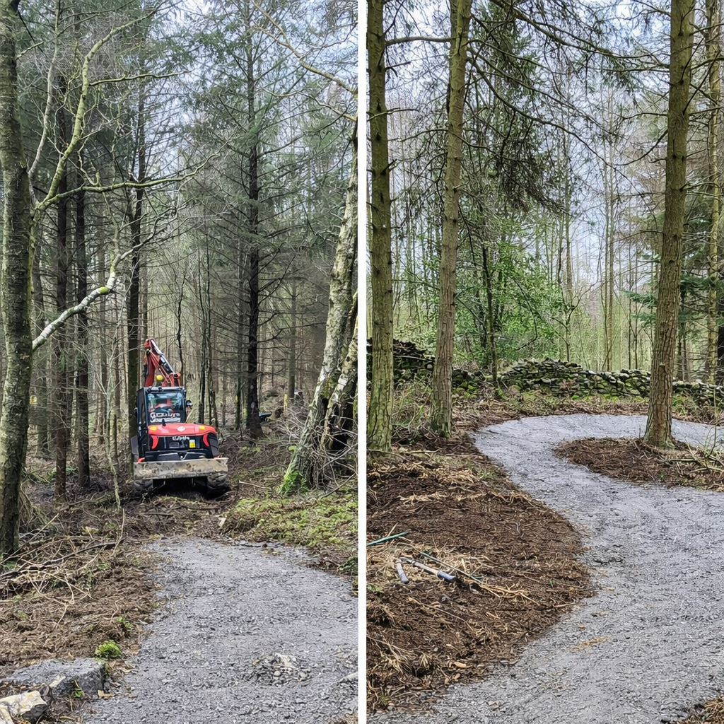 Squirrel Chaser Blue Trail set to expand at Hamsterley Forest