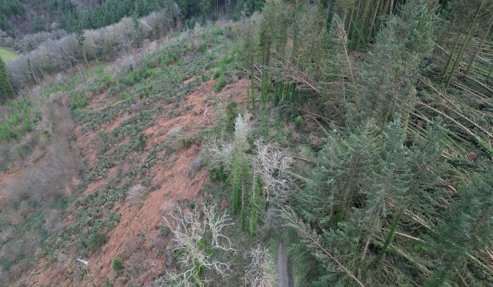 Storm impact on MTB trails can take months if not years to recover from
