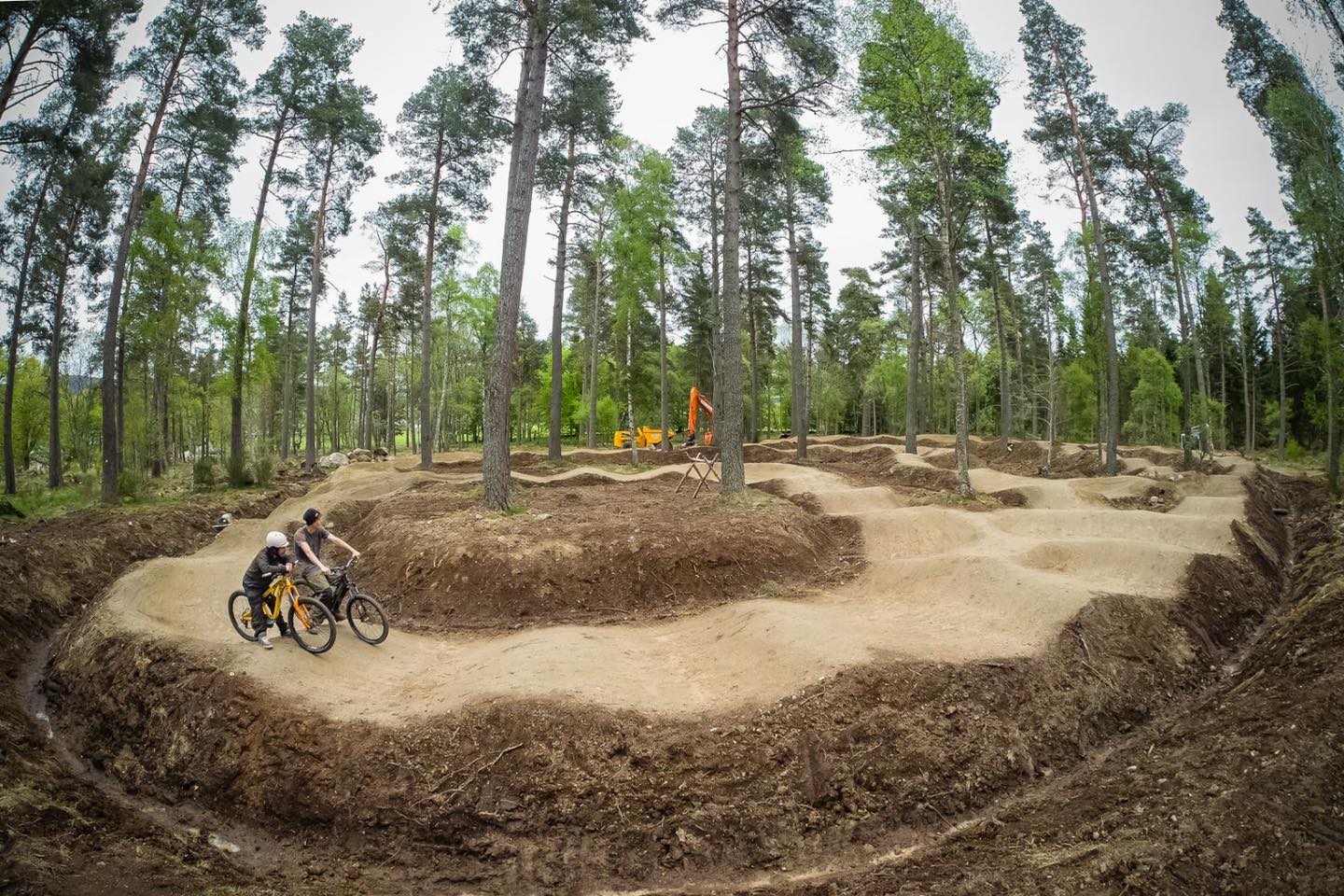 Tarland Trails Drummy Woods – Red, Blue and Pump Track Revamp Underway