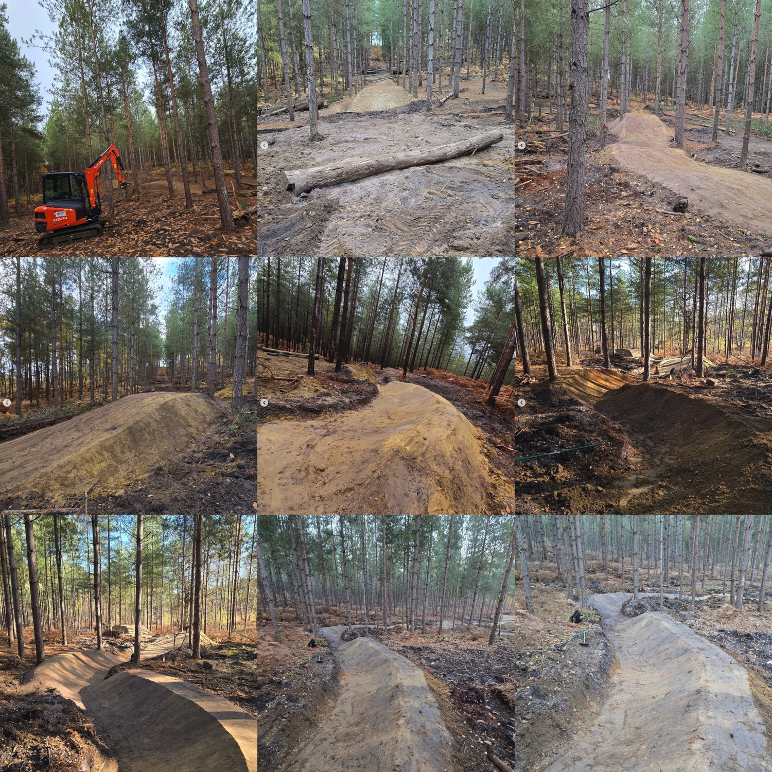 New Red Trail Set To Replace Bikini Line At Swinley Forest