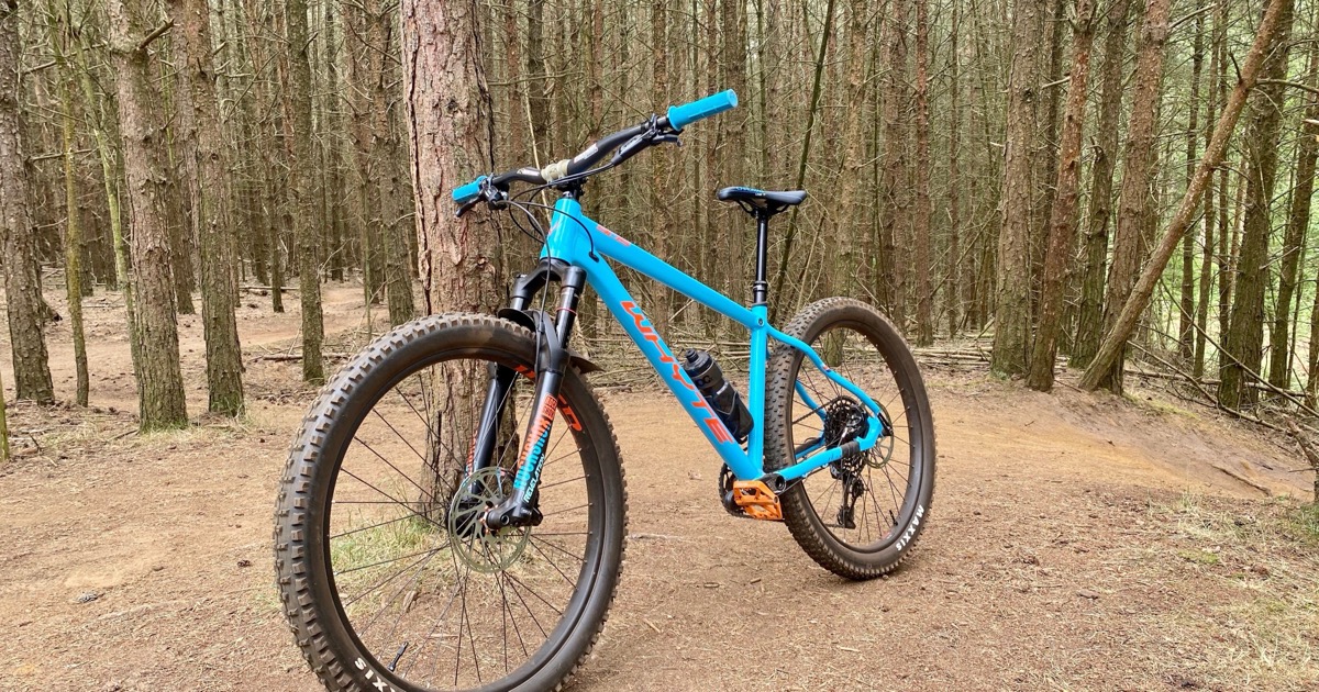 The Best Trail Centres and Bike Parks in the UK for Beginners