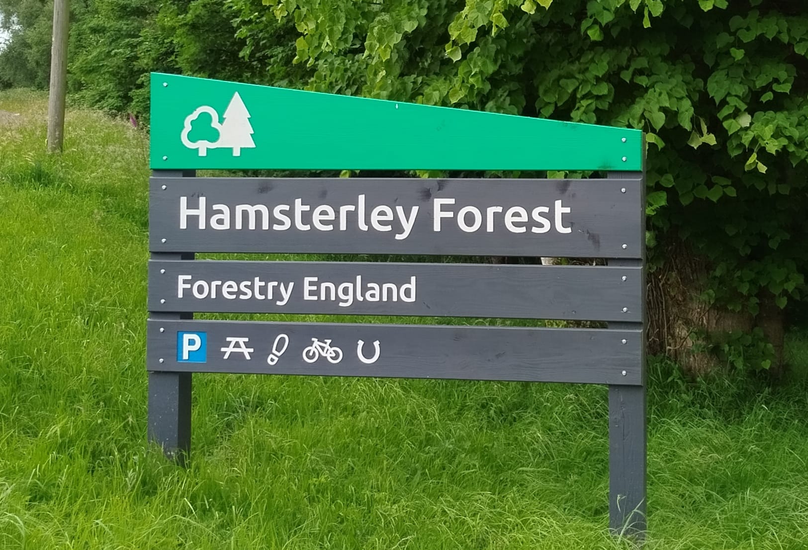The Future of Hamsterley Forest: Proposed Cabin Development and Its Implications for MTB