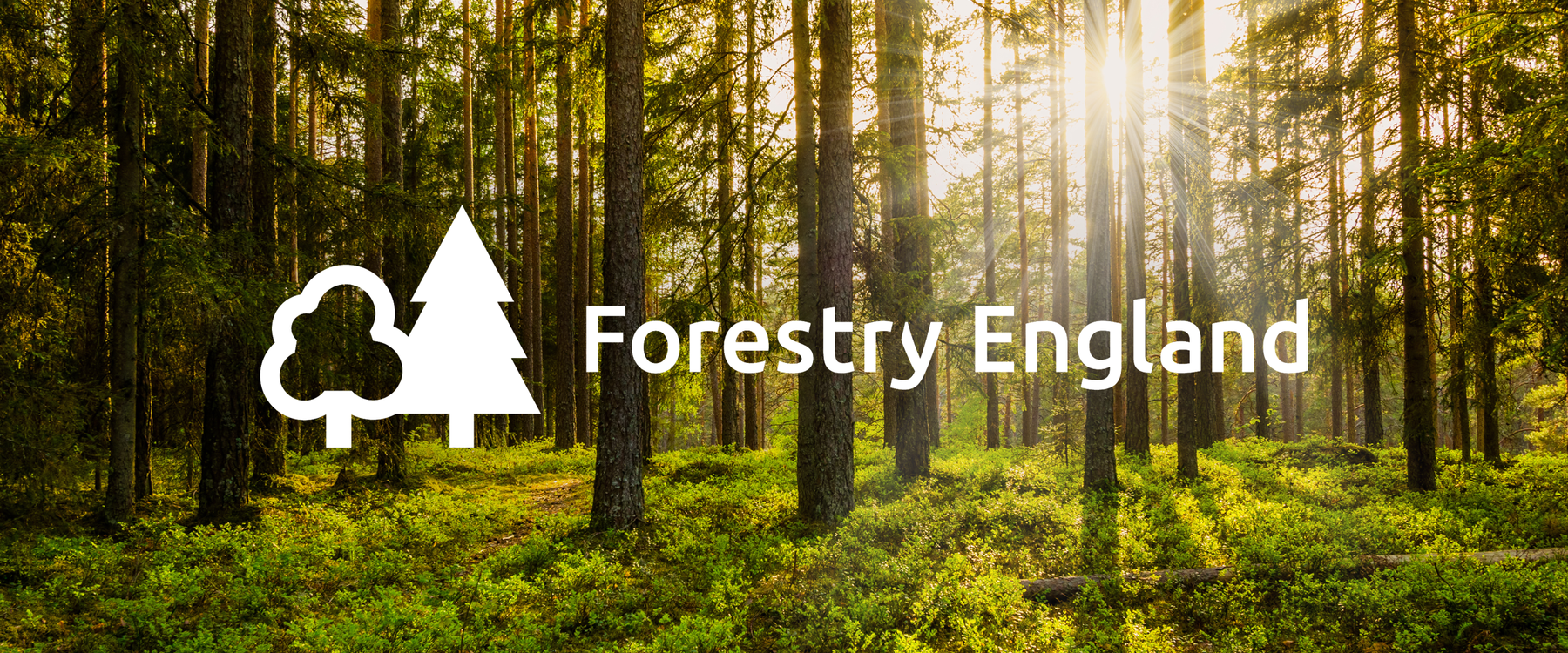 The livelihood of England's mountain bike coaches and guides is in jeopardy as Forestry England up the fees