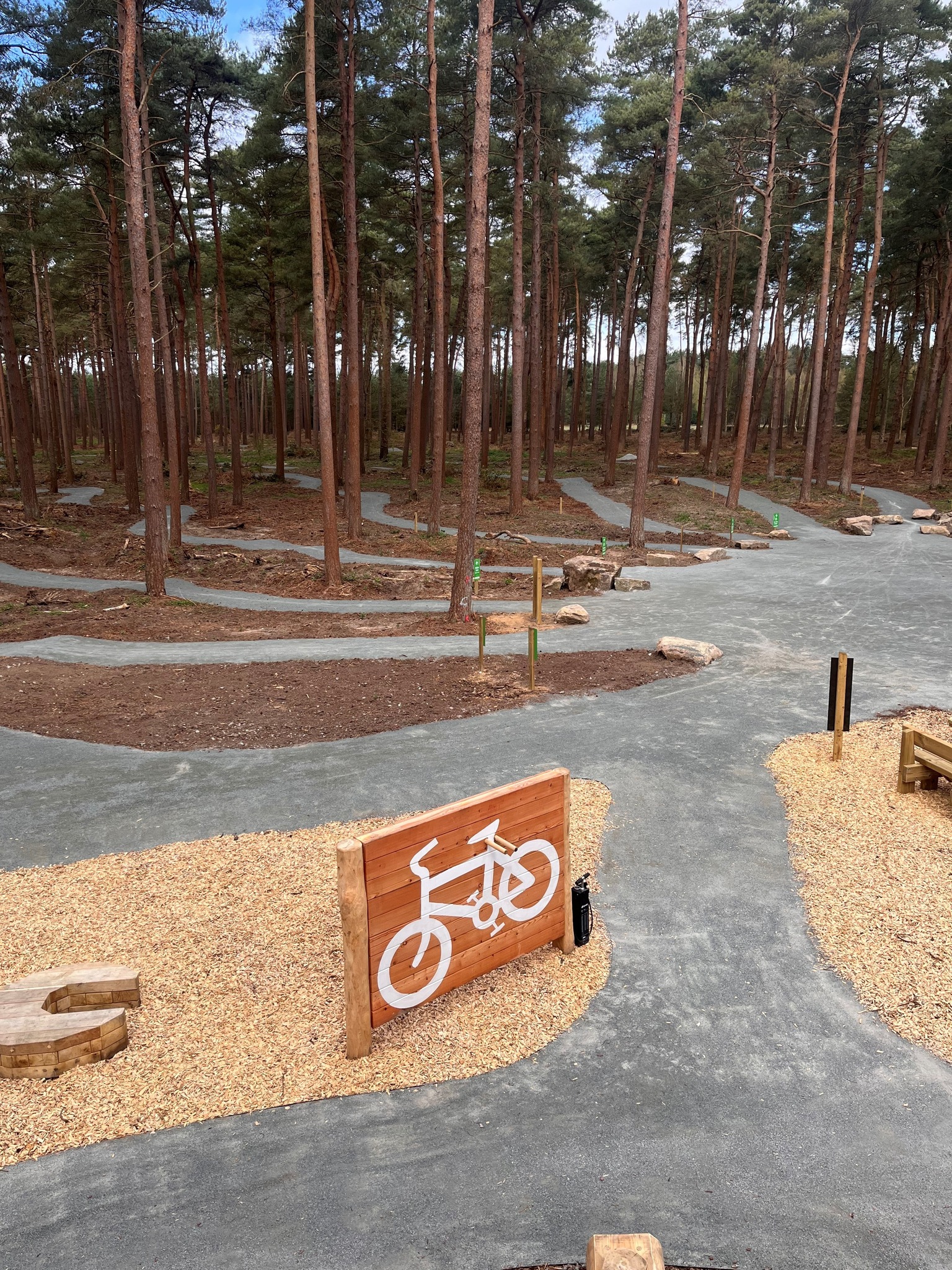 Thetford Forest Introduces Pedal and Play for Children Aged 3–11