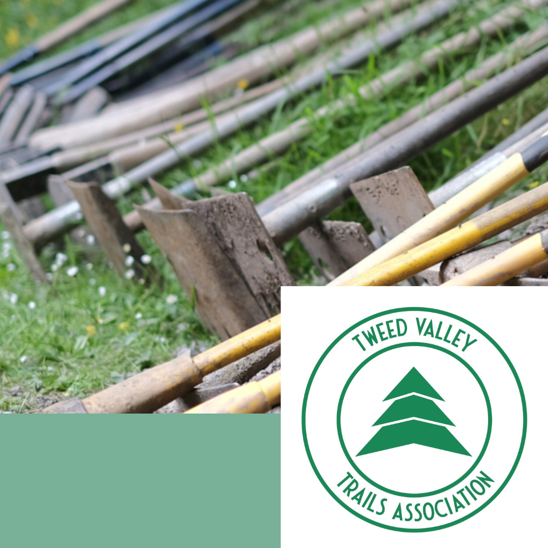 TVTA shares what Tweed Valley trail maintenance costs, and the case for paid contractors long term