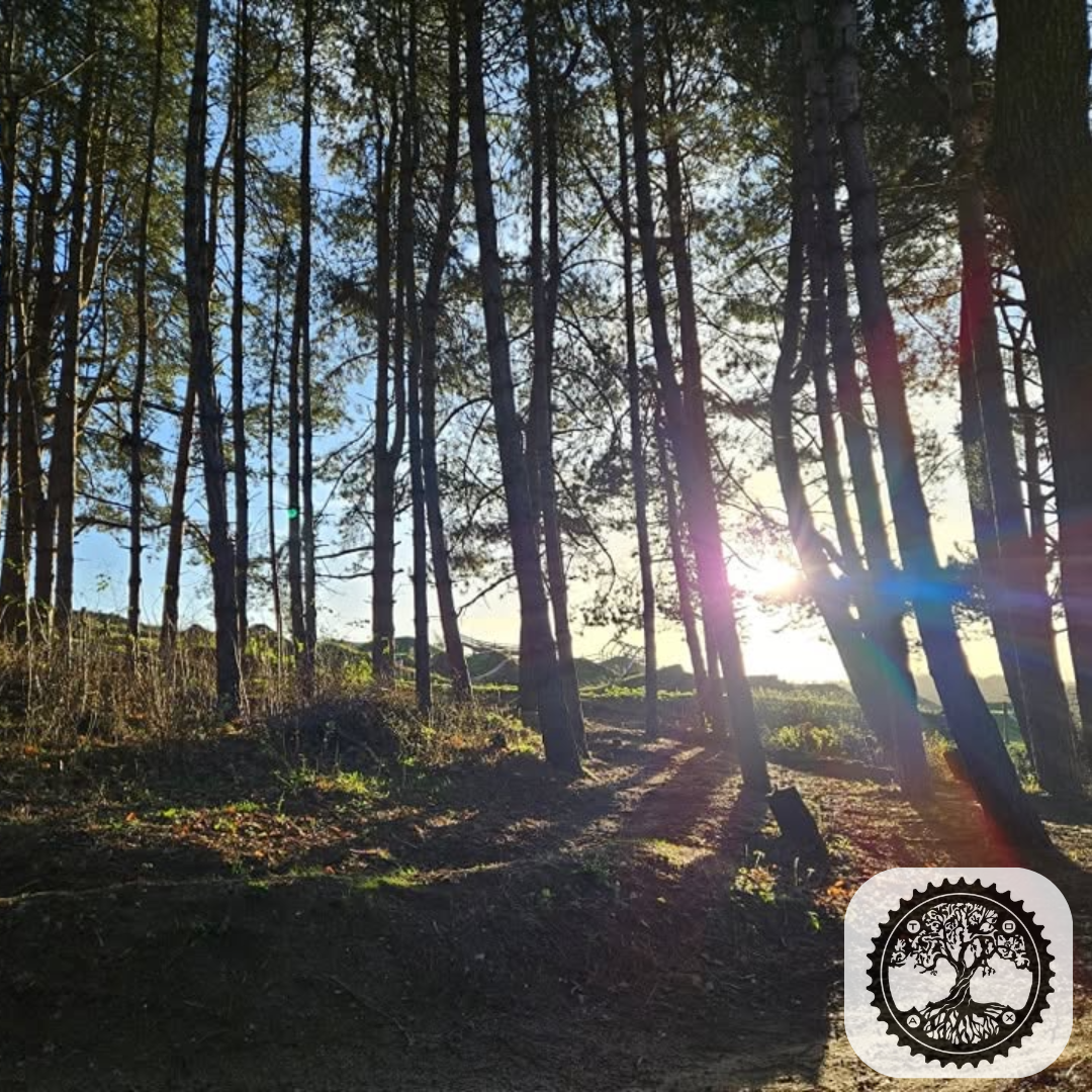 Twisted Oaks Red XC Extension Now Open
