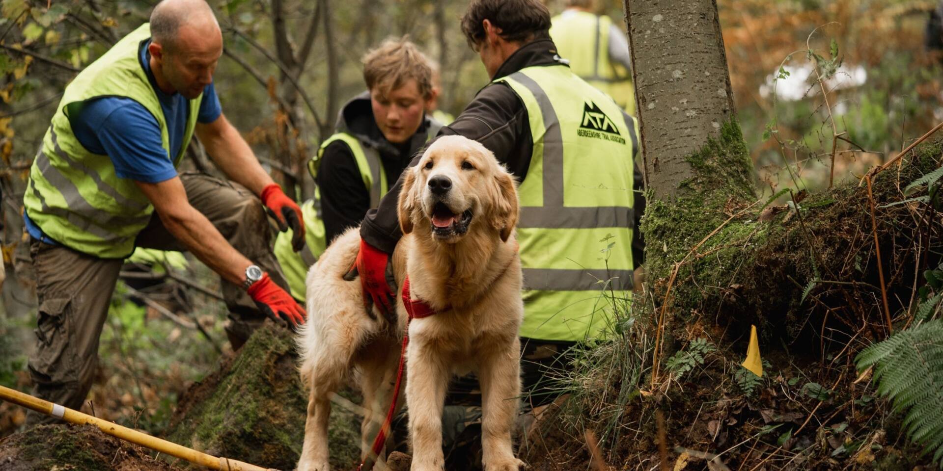 Uk Trails Project Launches Nationwide Trails Survey