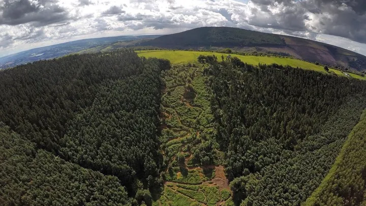 Urgent Fundraiser to Save Tirpentwys Mountain Bike Trails - Mission Accomplished