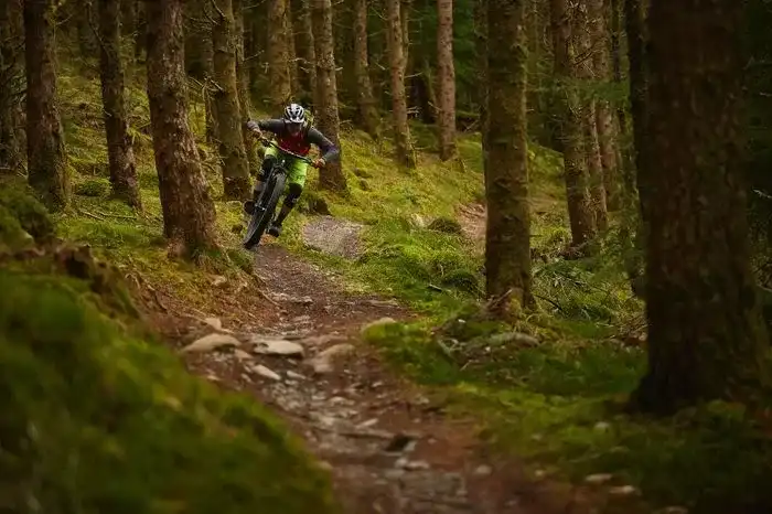 Why Now Is the Perfect Time to Ride Coed y Brenin