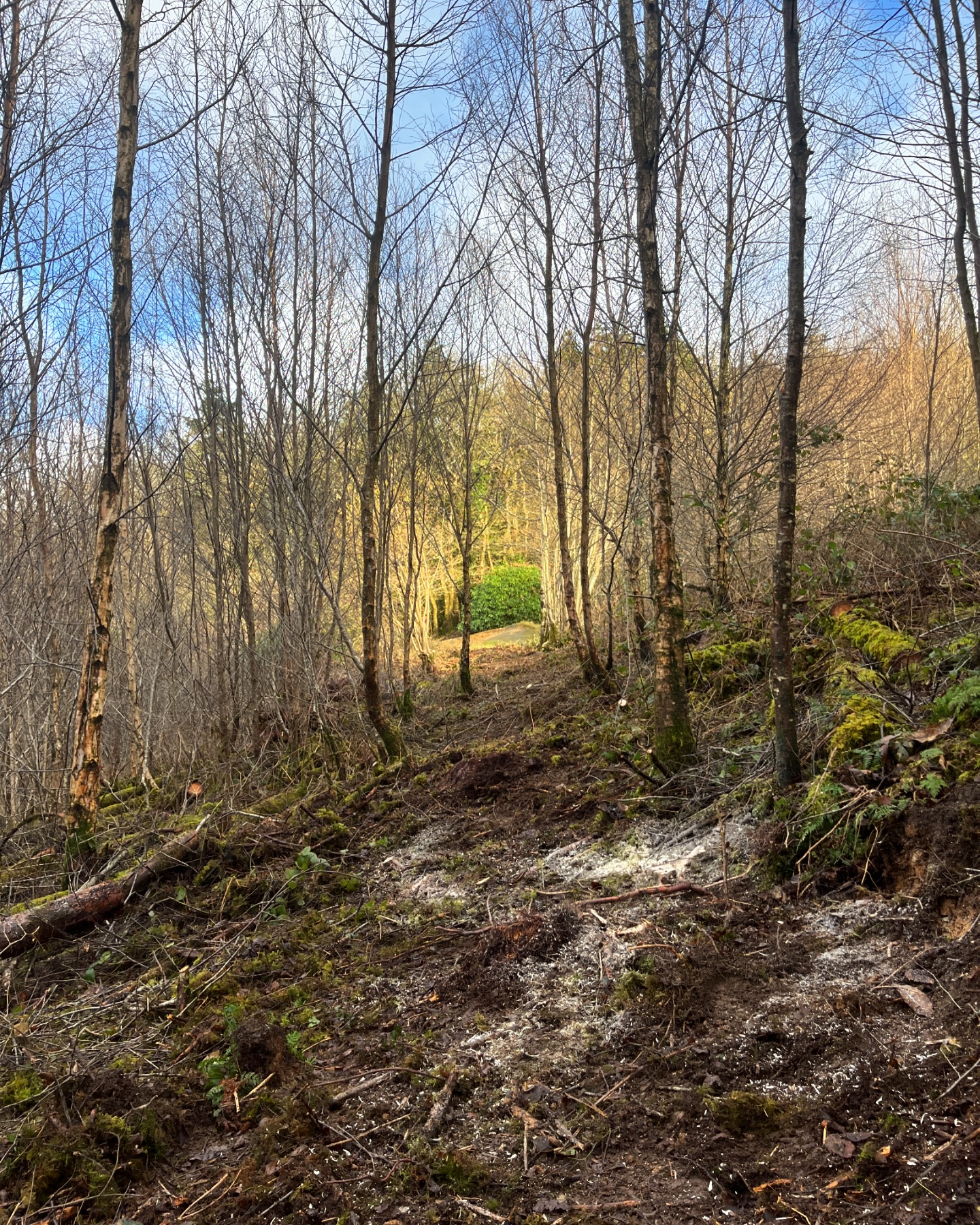 Work kicks off on new red track at Bike Park Kernow