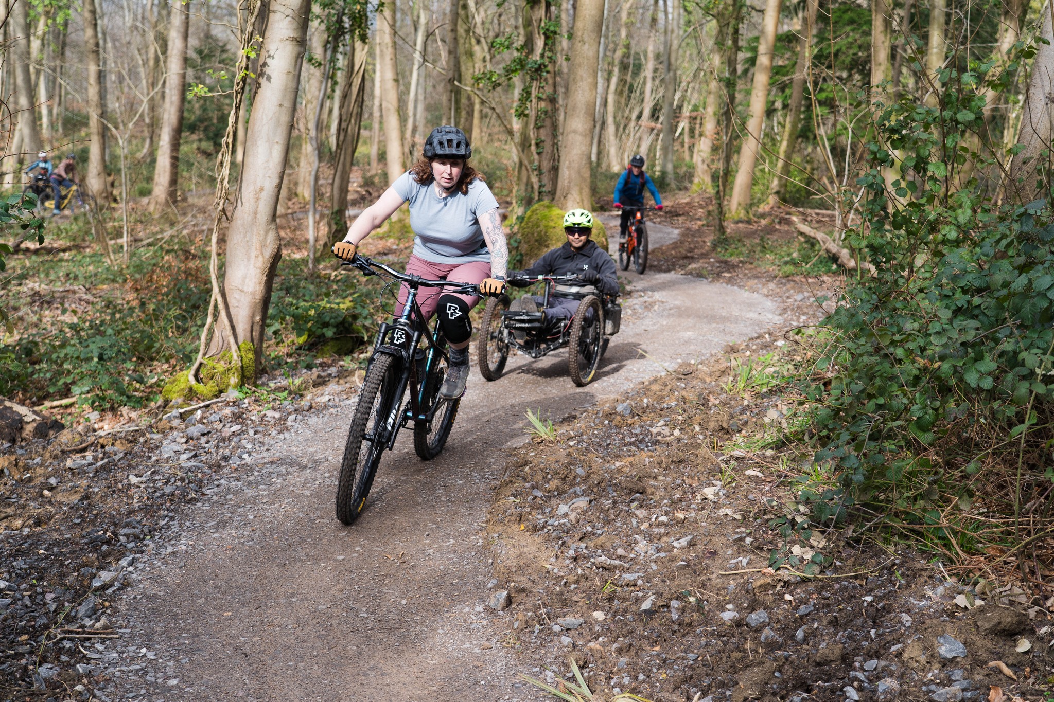 Yer Tiz Trail Reopens in Leigh Woods, Bristol After £200,000 Forestry England Rebuild