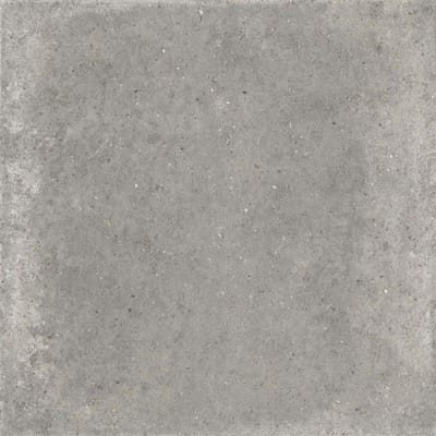 Pirenei Grey