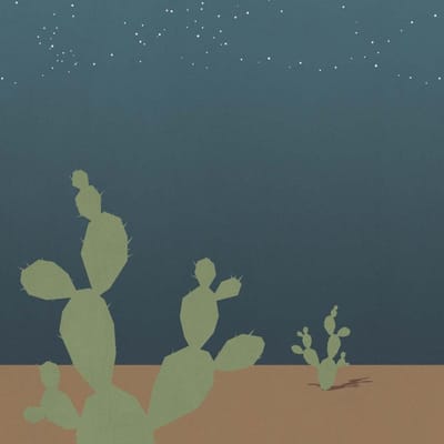 Arizona