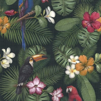 Rain Forest
