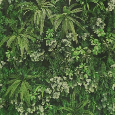 Secret Garden
