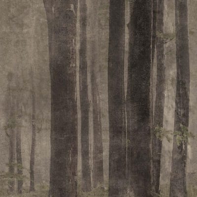 Woods