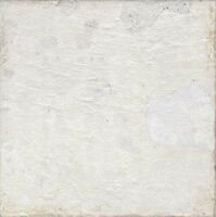 aged white