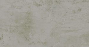 brave grey