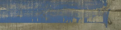 Vestige