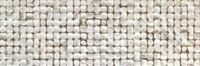 coconut white focus