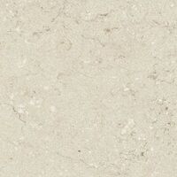 dstone ash lekue non-slip