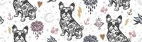 glimpse bulldog ornato
