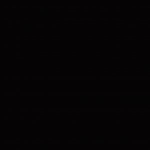 sincro blanco