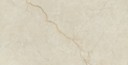 nordic gold shell