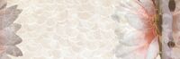 nordic ivory