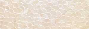 phuket ivory shell