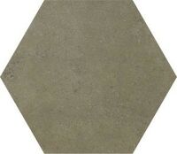 recover vison hexagon
