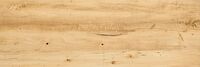 sylan maple
