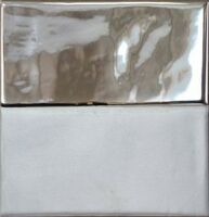 terre silver