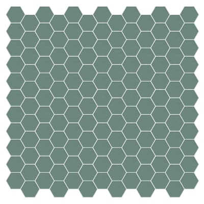 Salvia