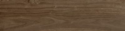 rovere corteccia