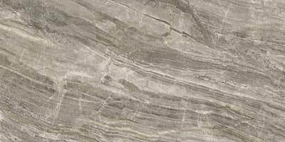 daino grigio