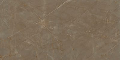 pulpis bronze