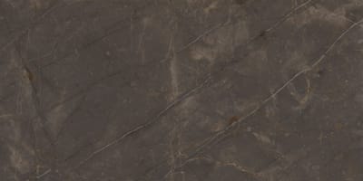 pulpis grey