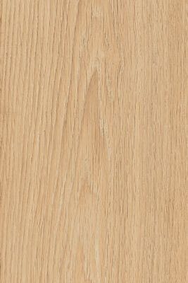 Elegance Beige