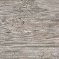 silver fir