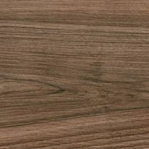 noce hickory