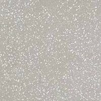 terrazzo pearl