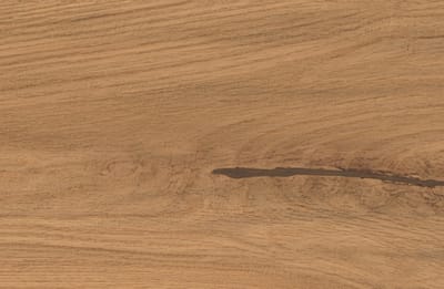 Amber Oak Forest